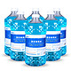 长城世喜 汽车冬季防冻玻璃水-25度2L*6瓶装玻璃清洁剂去油膜雨刷精清洗剂