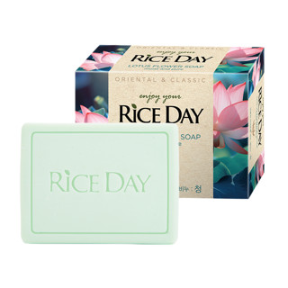 米时代Rice Day希杰狮王（CJLION）韩国进口香皂100g洗手洗脸洗澡洁面沐浴皂大米皂除螨 清*2+润*2+柔*1