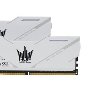 GALAXY 影驰 名人堂系列 HOF OC Lab 大师II DDR4 3600MHz 台式机内存 白色 16GB 8GB