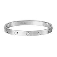 Cartier 卡地亚 love系列 B6035417 螺钉18K白金手镯 17cm