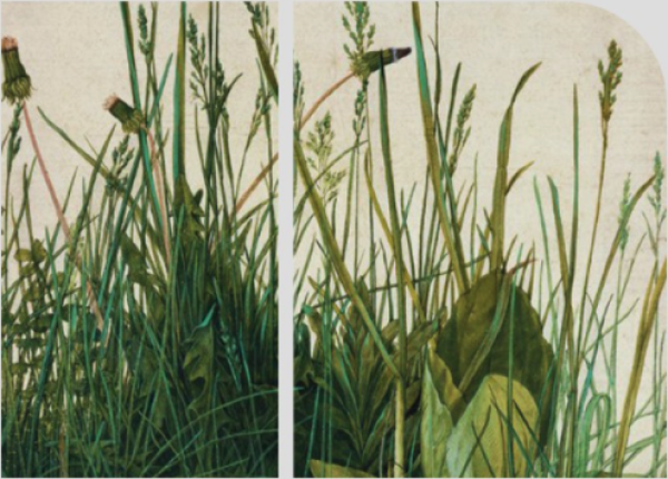 雅昌版画复制品_artron 雅昌 阿尔布雷希特99丢勒《大片草地》41