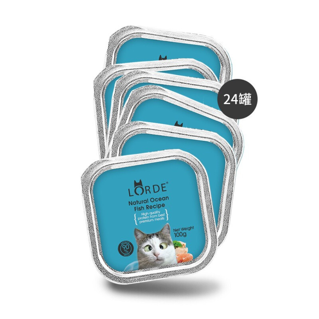 传说中的“逻辑猫”、“巡逻猫”饲养攻略，人家叫暹（xian一声）罗猫！