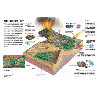 《万物运转的秘密·史前时代》