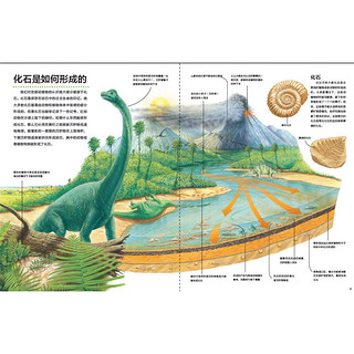 《万物运转的秘密·史前时代》