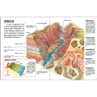 《万物运转的秘密·史前时代》