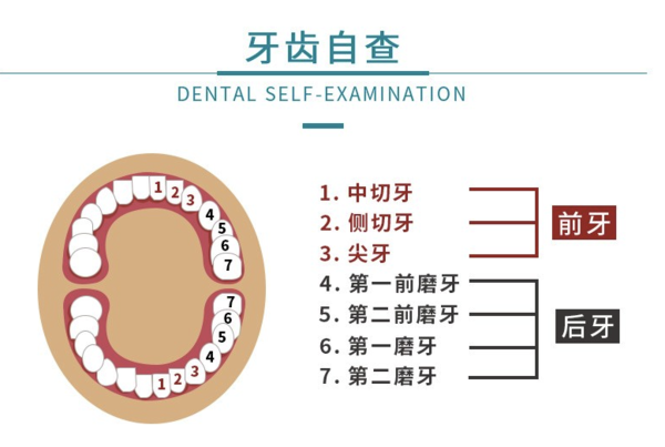 限地区：牙管家 美国3M纳米树脂补牙