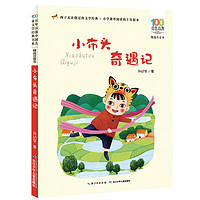 《百年百部中国儿童文学经典书系·精选注音书：小布头奇遇记》