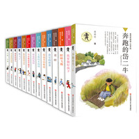 《黄蓓佳倾情小说系列》(套装共14册)