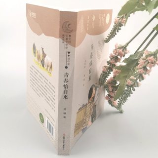《曹文轩儿童文学奖获奖作品·青春恰自来》