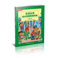 《美国经典幼小衔接思维训练·全脑训练营》