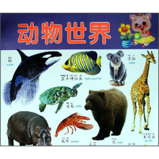 阳光宝贝炫彩挂图动物世界