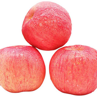 luochuanapple 洛川苹果 红富士苹果 单果85-90mm 4.75kg-5kg 礼盒装