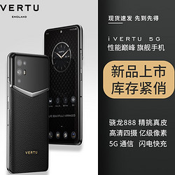 VERTU 纬图 iVERTU纬图轻奢5G旗舰全面屏手机（12+512GB）