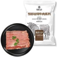 HONDO BEEF 恒都牛肉 国产煎烤涮肥牛片 250g*2袋