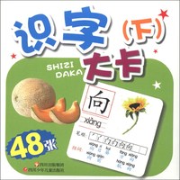 《识字大卡 下》（云飞扬 著）