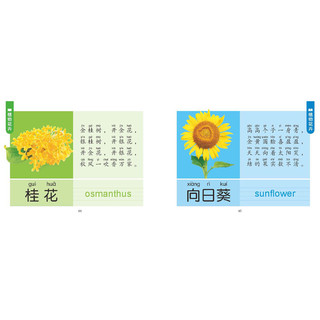 《幼儿启蒙手册·认物》