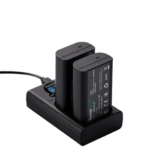 IIano 绿巨能 LIano 绿巨能 DMW-BLJ31GK 相机电池 7.4V 3250mAh 充电套装 2块装