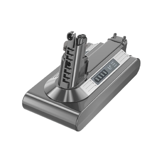 IIano 绿巨能 LIano 绿巨能 DSV10 可充电锂离子电池 25.2V 2500mAh