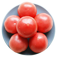 京觅 凡谷西红柿 1.25kg