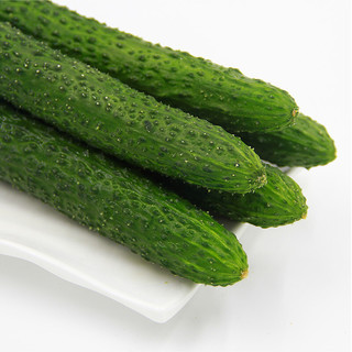 GREENSEER 绿鲜知 长黄瓜 1kg
