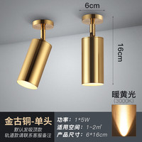 北欧轻奢黄铜金色射灯led灯客厅家用轨道明装吸顶免开孔小天花灯照射灯 明装5w单头暖光