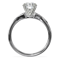 Blue Nile 56233 女士时尚14K白金钻石戒指 0.06克拉 5号