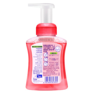 Dettol 滴露 樱桃芬芳泡沫抑菌洗手液 250ml+补充装225ml*2