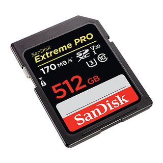 SanDisk 闪迪 SDXC SD存储卡 512GB（UHS-I、V30、U3）