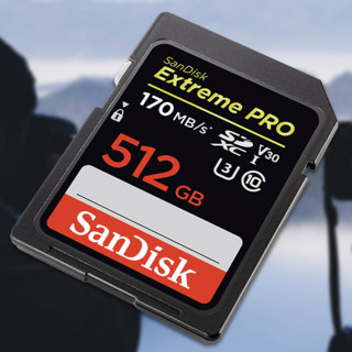 SanDisk 闪迪 SDXC SD存储卡 512GB（UHS-I、V30、U3）