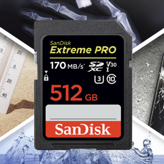 SanDisk 闪迪 SDXC SD存储卡 512GB（UHS-I、V30、U3）