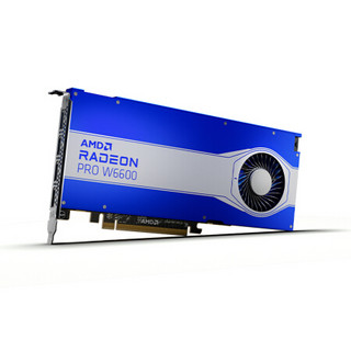 AMD Radeon Pro W6600 显卡 8GB 蓝色