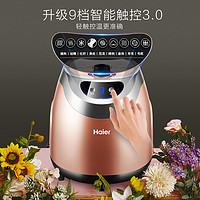 Haier 海尔 HGS-2510 挂烫机