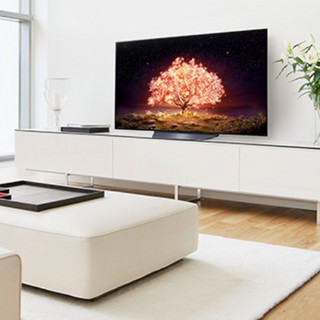 LG 乐金 OLED55B1PCA OLED电视 55英寸 4K