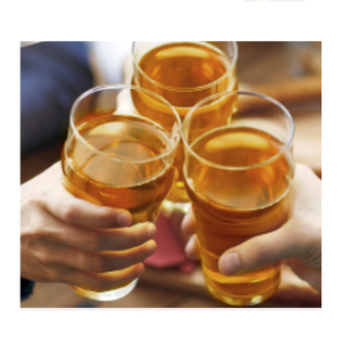 SUNTORY 三得利 无糖 乌龙茶饮料 1.25L*4瓶