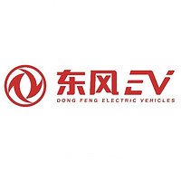 DONG FENG ELECTRIC VEHICLES/东风新能源