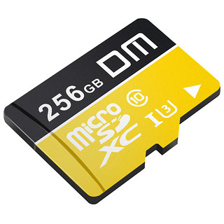 DM 大迈 TF-U1系列 高速热销款 Micro-SD存储卡 256GB（UHS-I、U1）