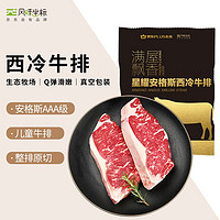 风味坐标 x 店 安格斯原切西冷牛排180g儿童牛扒生鲜牛肉 京东出品