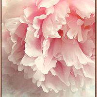 BASISHOME 倍思家 现代简约玄关装饰画 燕啼暖春A款 50×100cm 木色画框 牡丹花客厅沙发背景挂画中式餐厅过道墙画壁画