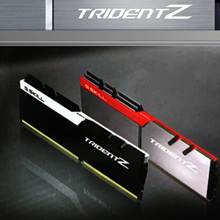 G.SKILL 芝奇 Trident Z三叉戟 DDR4 4000MHz RGB 台式机内存 灯条 雪映白 64GB 16GB*4 F4-3200C14Q-64GTZSW