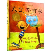 《大卫,不可以!》