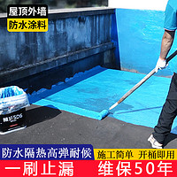 精卫 房屋顶补漏防水材料 高弹可涂刷SBS液体 蓝色2千克