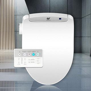 iZENBIDET D200R 智能马桶盖 标配版