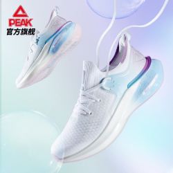 PEAK 匹克 态极3.0GT临界高性能版自然泡泡配色2021年秋季新款运动跑步鞋男 大白/天兰 42