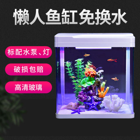 鱼缸 Yee鱼缸水草缸水族箱懒人桌面缸小型家用免换水生态箱创意玻璃缸多少钱 什么值得买 鱼缸 Yee鱼缸水草缸水族箱懒人桌面缸小型家用免换水生态箱创意玻璃缸多少钱 什么值得买