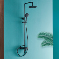 FAENZA 法恩莎 FE07L321MB 三功能淋浴花洒套装 黑色