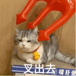 天猫运动品牌高光时刻,大额券合集来啦!