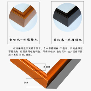 积善 新中式客厅装饰画手绘牡丹花开富贵沙发背景墙字画卧室挂画走廊过道玄关画 花开富贵 65*65cm/幅
