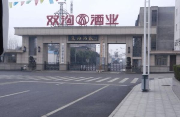 两种度数,随意勾调,丰满浓香--双沟珍宝坊君坊