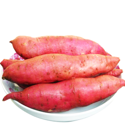 秦盛 秦苑 新鲜板栗红薯 当季蔬菜 5斤装