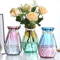 质优家 欧式创意玻璃花瓶 15厘米